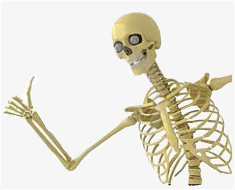 Report Abuse Skeleton Thumbs Up Transparent Png 993x759 Free