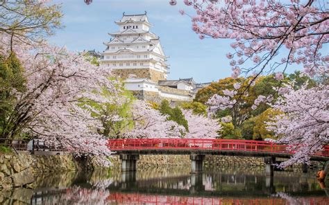 Wallpaper Japan Himeji Castle Sakura Bridge River Spring 1920x1200