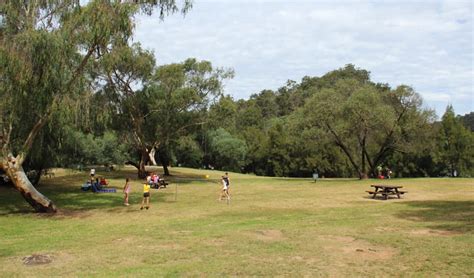Bents Basin Road Picnic Area Nsw National Parks