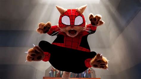 La nouvelle bande annonce Across The Spider Verse révèle le Spider Cat Oxtero