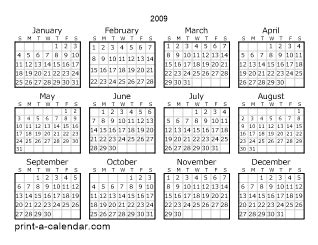 2009 Year One