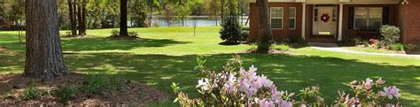 Action pest control and wildlife management provide complete pest control service at very completive price. McCall Service | Florida Pest Control For Homes & Businesses
