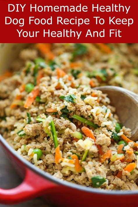 Diy Homemade Healthy Dog Food Recipe To Keep Your Healthy And Fit Dog