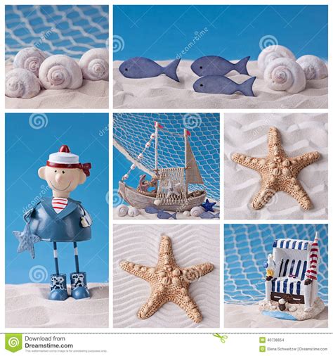 Marine Life Collage Stock Photo Image 40736654
