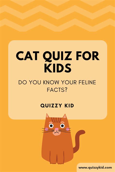 Cat Quiz For Kids Quizzy Kid Funny Jokes For Kids Jokes For Kids
