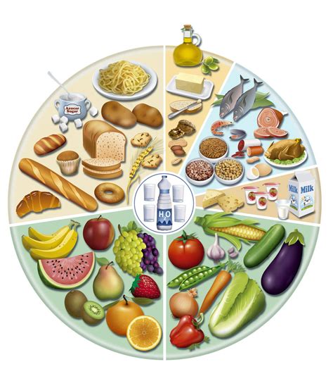 Conozca Las Leyes De Alimentaci N Claves Para La Nutrici N En El Hogar