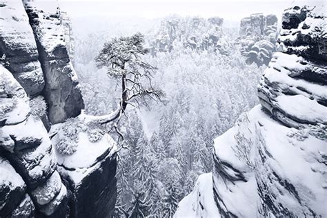 Winters Tale Breathtaking Photography By Kilian Schönberger Design Swan