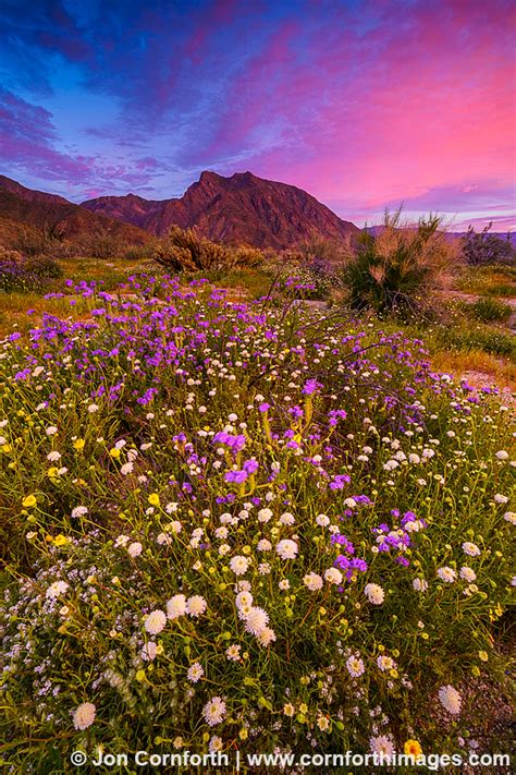 On a day trip, you can hike desert trails, drive the borrego badlands, and scout 130 ricardo breceda sculptures, as well. Anza Borrego Desert State Park Archives - Cornforth Images
