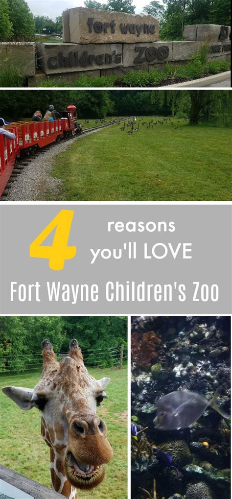 Four Things Youll Love About Fort Wayne Childrens Zoo