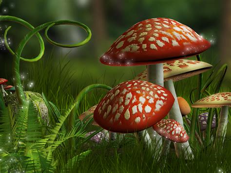 Magical Mushroom Forest by moonchild-lj-stock