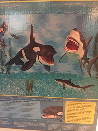 Купить Great White Shark And Killer Whale Playset Animal Planet в