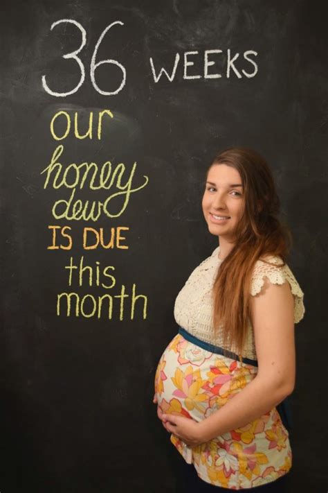 pregnancy pictures by week the maternity gallery