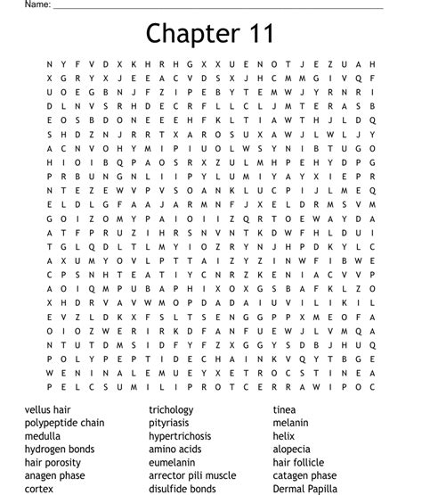 Chapter 11 Word Search Wordmint
