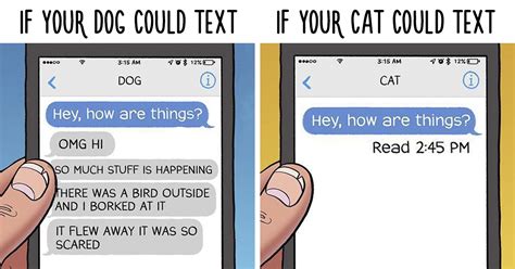 10 Hilarious Comics That Perfectly Illustrate The