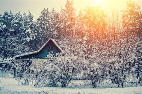 Premium Photo Snowy Winter Rural Landscape At Sunset