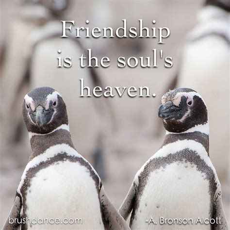 See more of love penguin on facebook. #friendship #friendshipisthebestship #penguins #animals #animallovers #quoteoftheday #qotd # ...
