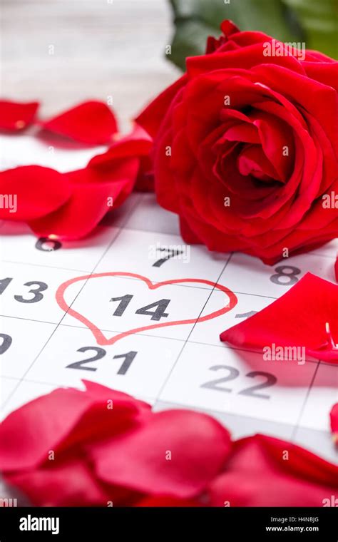 Calendar Showing The Date 14th Of February The Valentines Day Stock