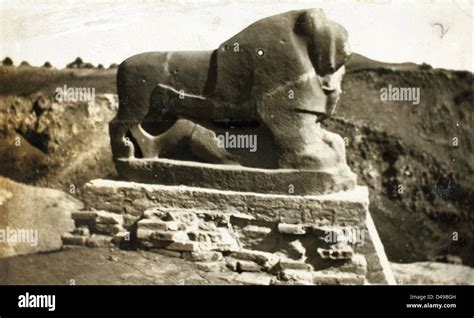 Sacred Lion Of Babylon Stock Photo Alamy