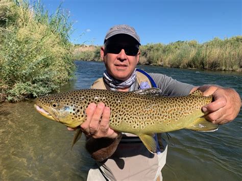 Fly Fishing Park City Guides Utah Fly Fishing Guide Wilderness