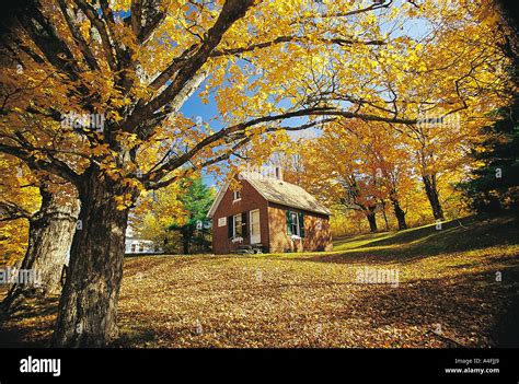 Fall Foliage In Montpelier Vermont Stock Photo Alamy