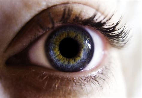 Yellow Iris Eye Iris Eye Eye Color Chart
