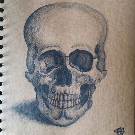 Old Skull Drawing Fine Liner On Brown Paper All Crosshatching Skull