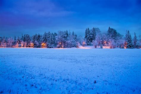 Frozen Winter Wonderland Stock Photo Download Image Now Istock