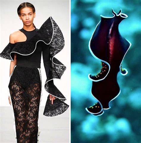 Instagram Account Shows The Similarities Between Fashion And Nature 100 Pics
