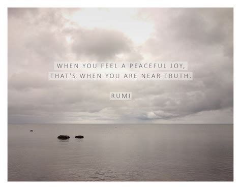 25 Rumi Quotes That Reminded Me What I Had Forgotten About