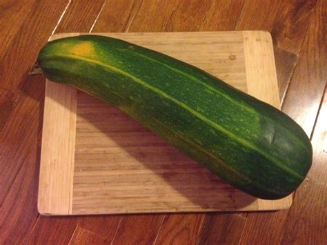 How to plant yellow squash. little country house: Giant Zucchini Stores For A Long Time