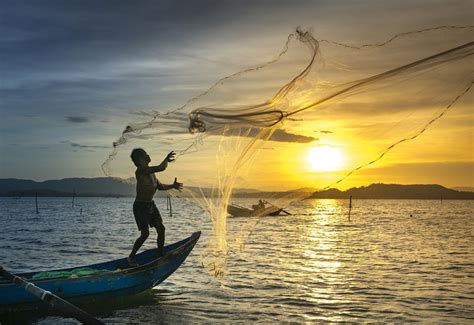 ¿por Qué Es Importante Conocer Acerca De La Pesca Sostenible Revista