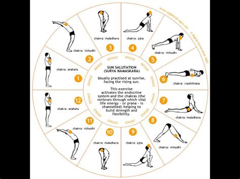Sun Salutation Yoga Steps With Images Yoga Routine For Beginners Morning Yoga Routine