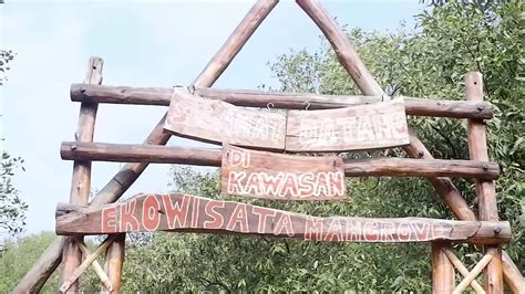 Beberapa mesjid berikut masuk dalam 11 mesjid terbesar dan terindah di dunia, apa saja? Hutan Mangrove Terbesar di Jawa Barat!! - YouTube