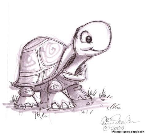 Bookmark this page for a new tutorial every saturday. Baby Sea Turtle Sketch | Wallpapers Gallery