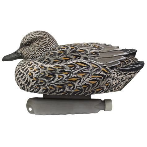 Greenwing Teal Duck Decoys 6 Pack Cupped Waterfowl