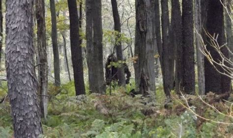 Bigfoot Fbi Investigation Documents Revealed After Man Sends Mystery