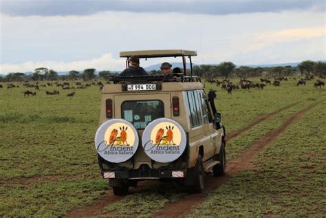 About Us Best Safari Company In Uganda
