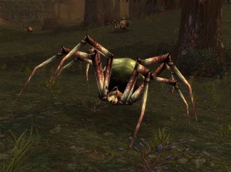 Black widow spiders are deadly, dark, and make excellent pets? Plague Lurker - NPC - World of Warcraft