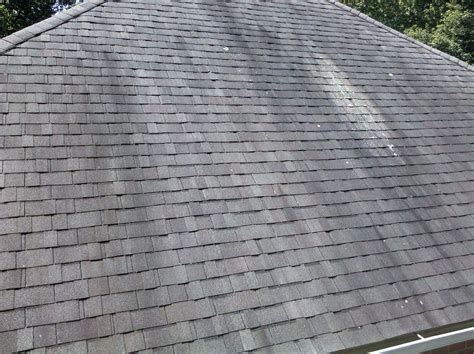 Moss And Algae Stains On Your Roof Fivecoat Roofing Yamhill County
