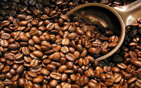 sejarah kopi  indonesia kaskus