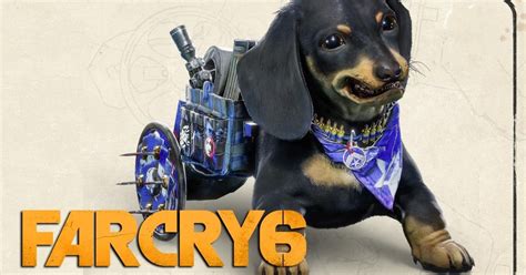 Chorizo is a character and fang for hire appearing in far cry 6. Far Cry 6 Incluye al perro salchicha asesino "Chorizo" | La Verdad Noticias