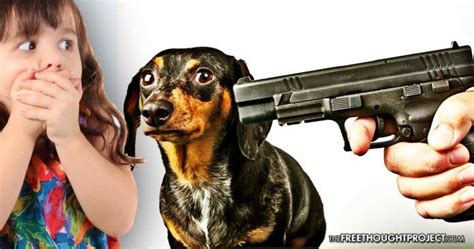 Puppies with guns screen saver & desktop backgrounds. Fearing for his life, cop aims at family dog and shoots little girl in the head instead ...