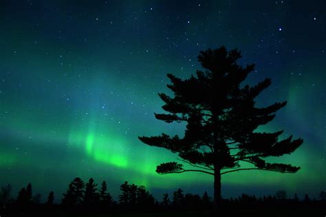 35 Gorgeous Pictures Of The Northern Lights The Photo Argus