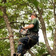 A cut above tree service reviews. A Cut Above Tree Service - Tree Services - 127 A Harris Rd ...