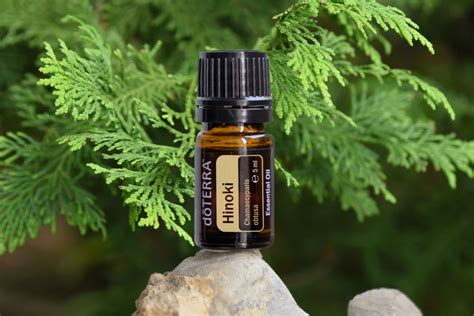 Usage explanations of natural written and. Hinoki Essential Oil v. Dolfenal - Essentially Healthy and ...