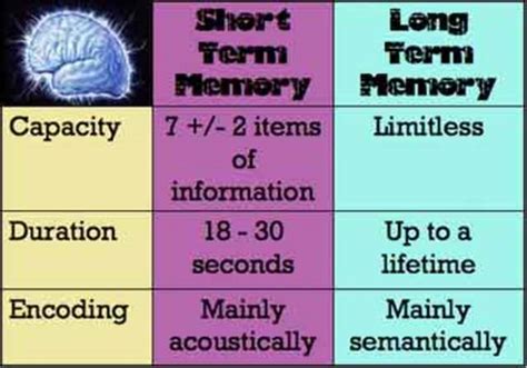 Memory Timeline Timetoast Timelines