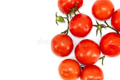 Fresh And Juicy Red Tomatoes Lie Green Branches Down On A White