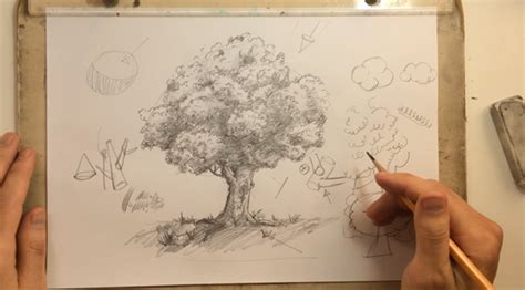 Como Desenhar Uma Árvore Passo A Passo Guia Completo