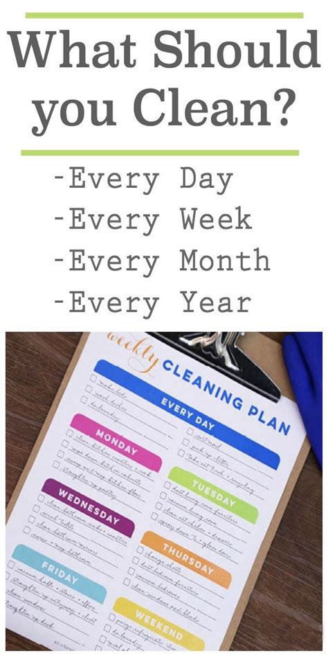 Disinfectant should be changed daily (every 24 hours) and ahp disinfectants should be changed every 14 days. How Often Should You Clean Things in your Home | Today's ...