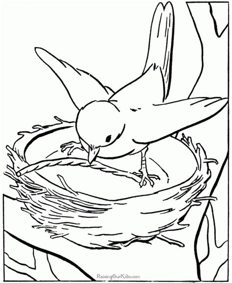 Get This Bird Coloring Pages Animal Printables For Kids